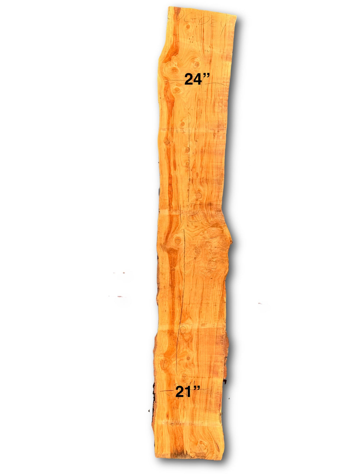 Deodar Cedar Slab - DC-024 - 144in L x 22.5in W x 2.5in T
