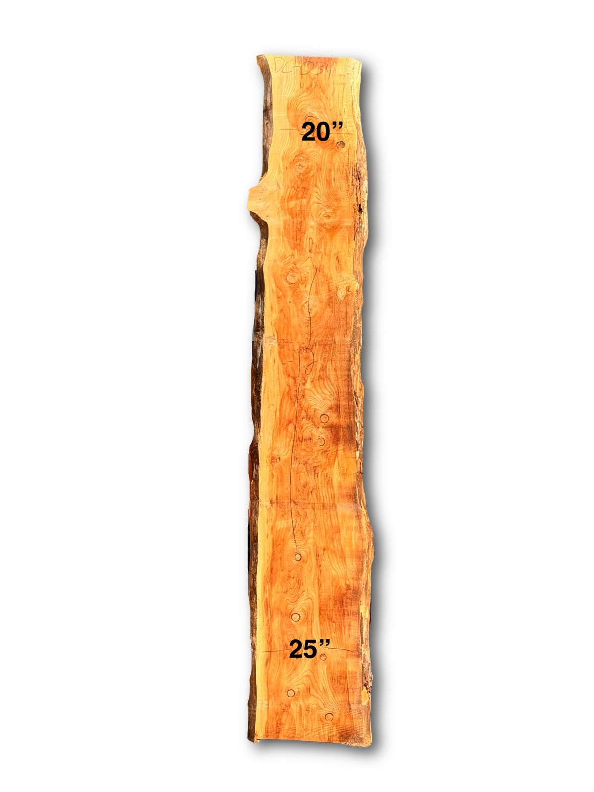 Deodar Cedar Slab - DC-034 - 144in L x 22.5in W x 2.5in T
