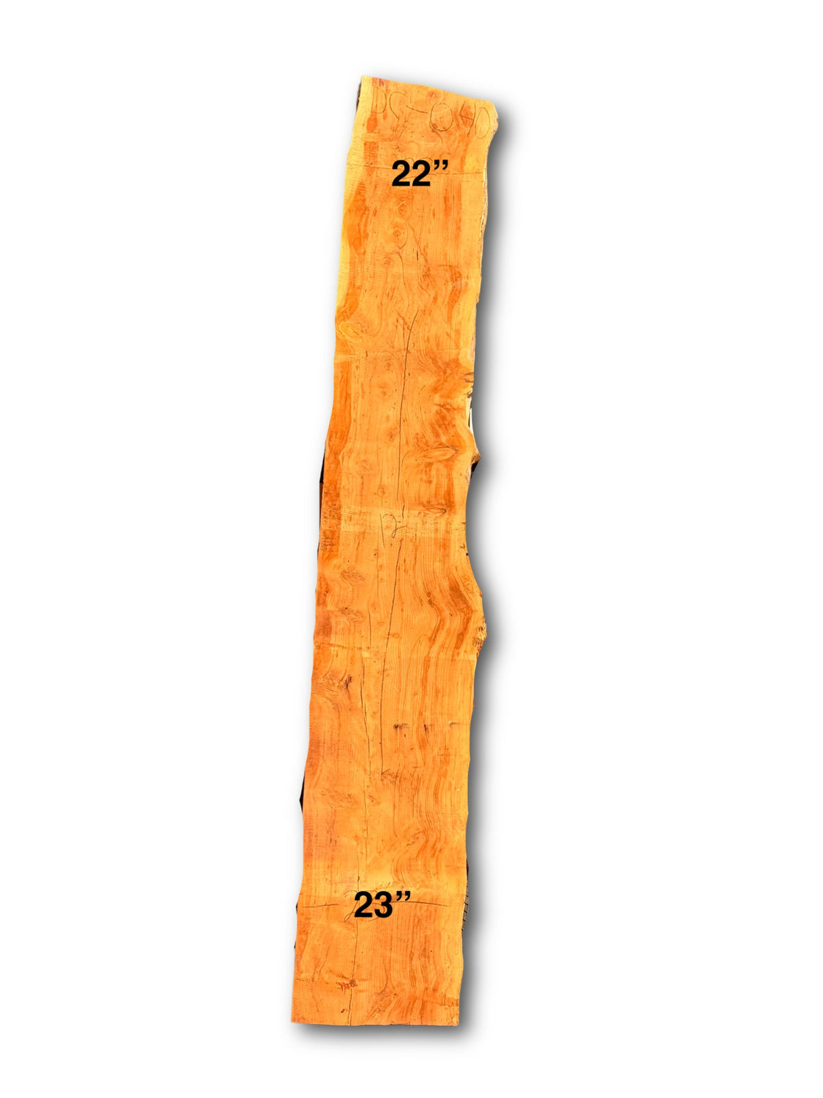 Deodar Cedar Slab - DC-040 - 144in L x 22.5in W x 2.5in T