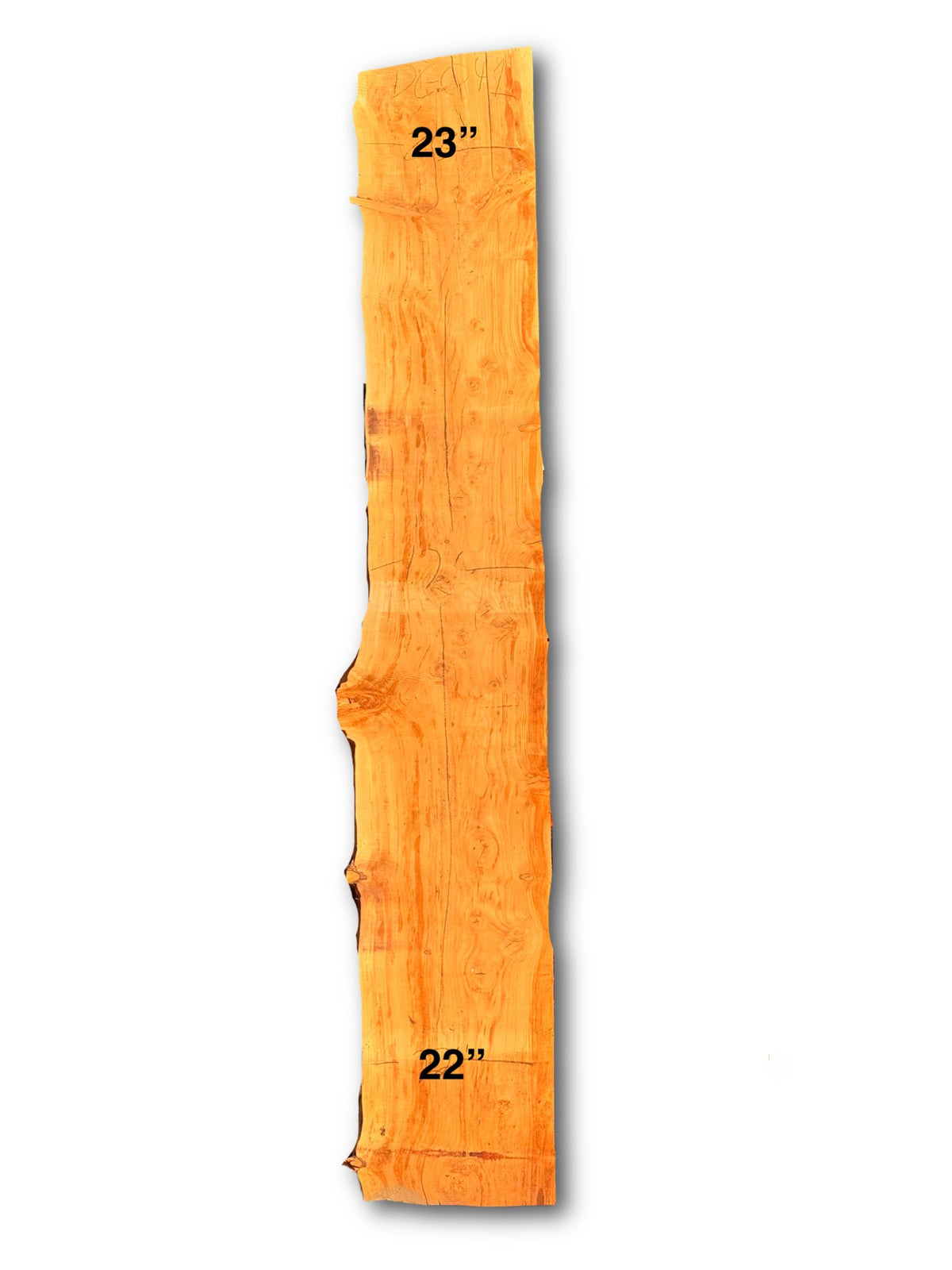 Deodar Cedar Slab - DC-041 - 144in L x 22.5in W x 2.5in T