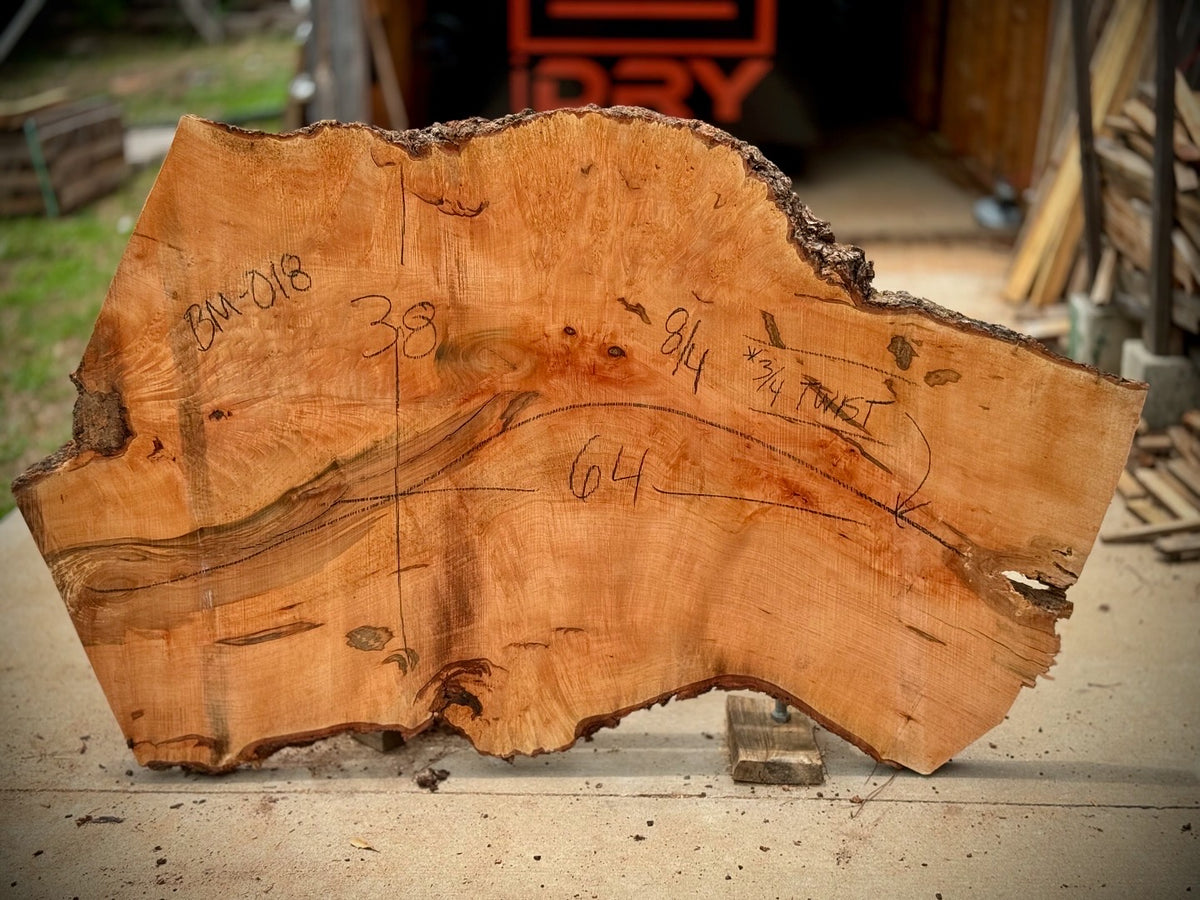 Maple Burl Cookie BM-018 - 64in L x 38in W x 2in T