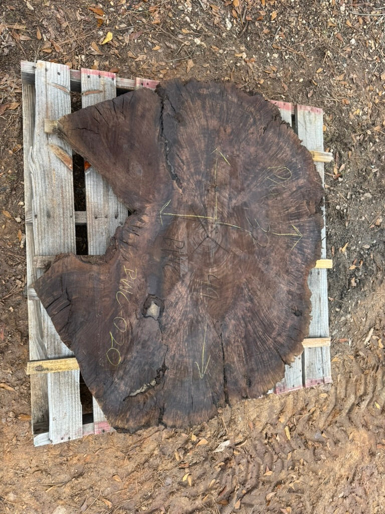 Claro Black Walnut Cookie - BWC-020 - 49in L x 32in W x 2.5in T