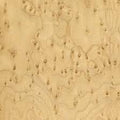 Birds Eye Maple