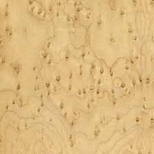 Birds Eye Maple