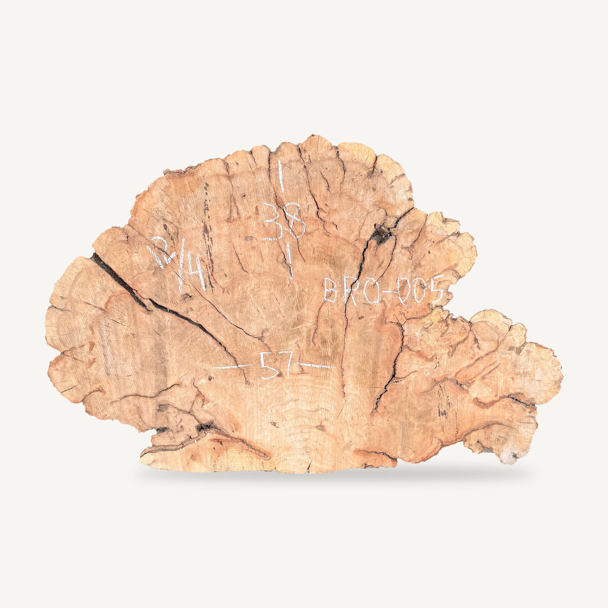 Burl Red Oak Cookie BRO-005 - 57in L x 38in W x 3in T