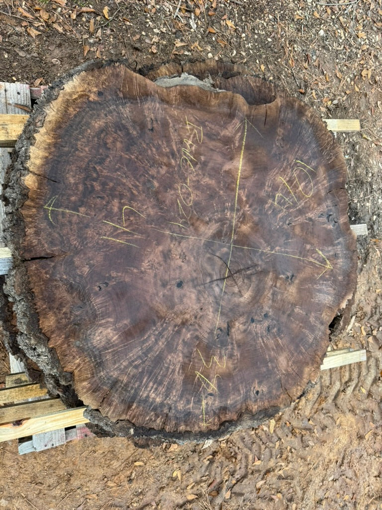 Claro Walnut Cookie BWC-024 - 41in L x 37in W x 2.5in T