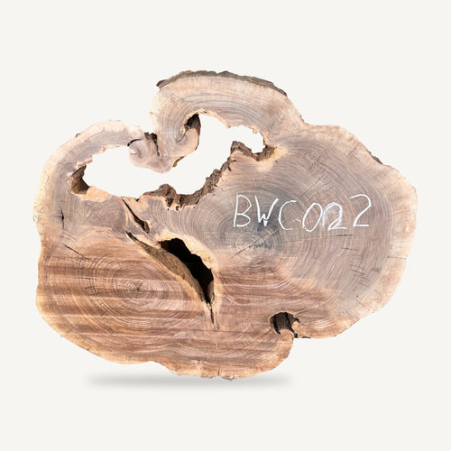 Black Walnut Cookie BWC-022, back face