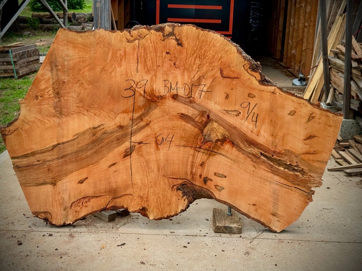Maple Burl Cookie BM-017 - 64in L x 39in W x 2.25in T