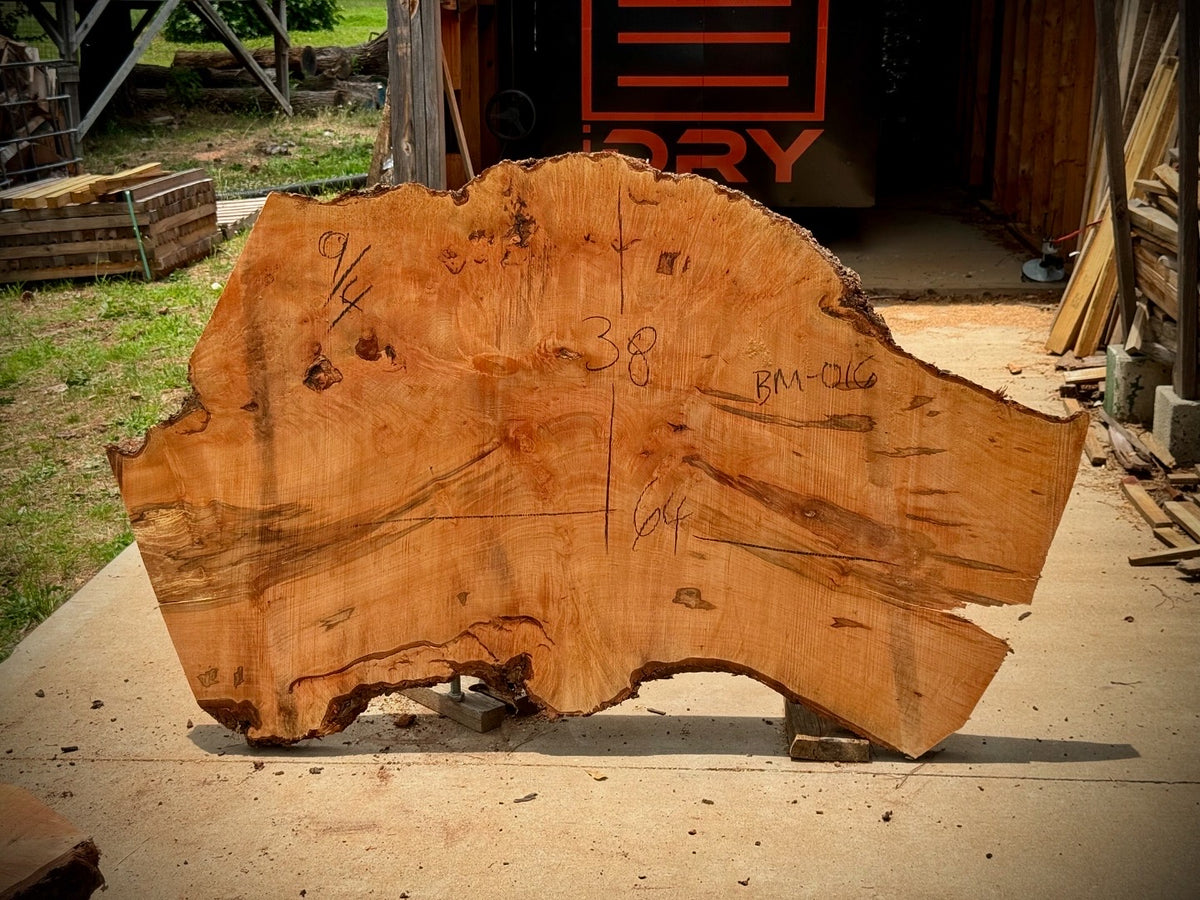 Maple Burl Cookie BM-016 - 64in L x 38in W x 2.25in T