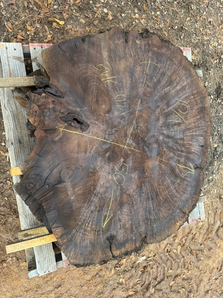 Claro Black Walnut Cookie - BWC-021 - 50in L x 41in W x 2.5in T