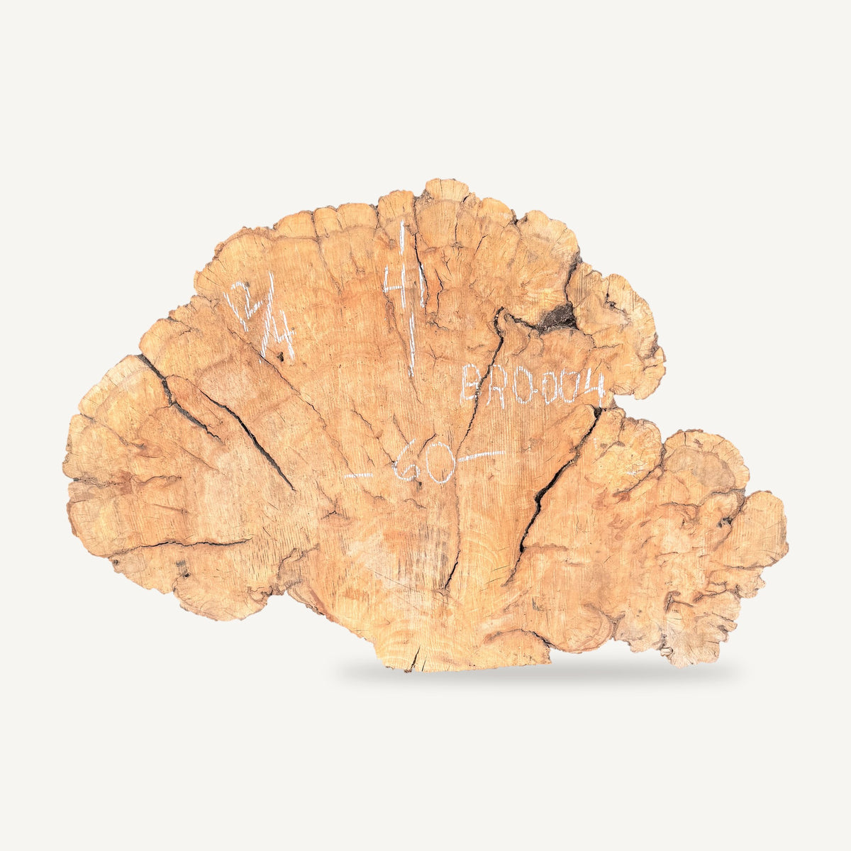 Burl Red Oak Cookie BRO-004 - 60in L x 41in W x 3in T